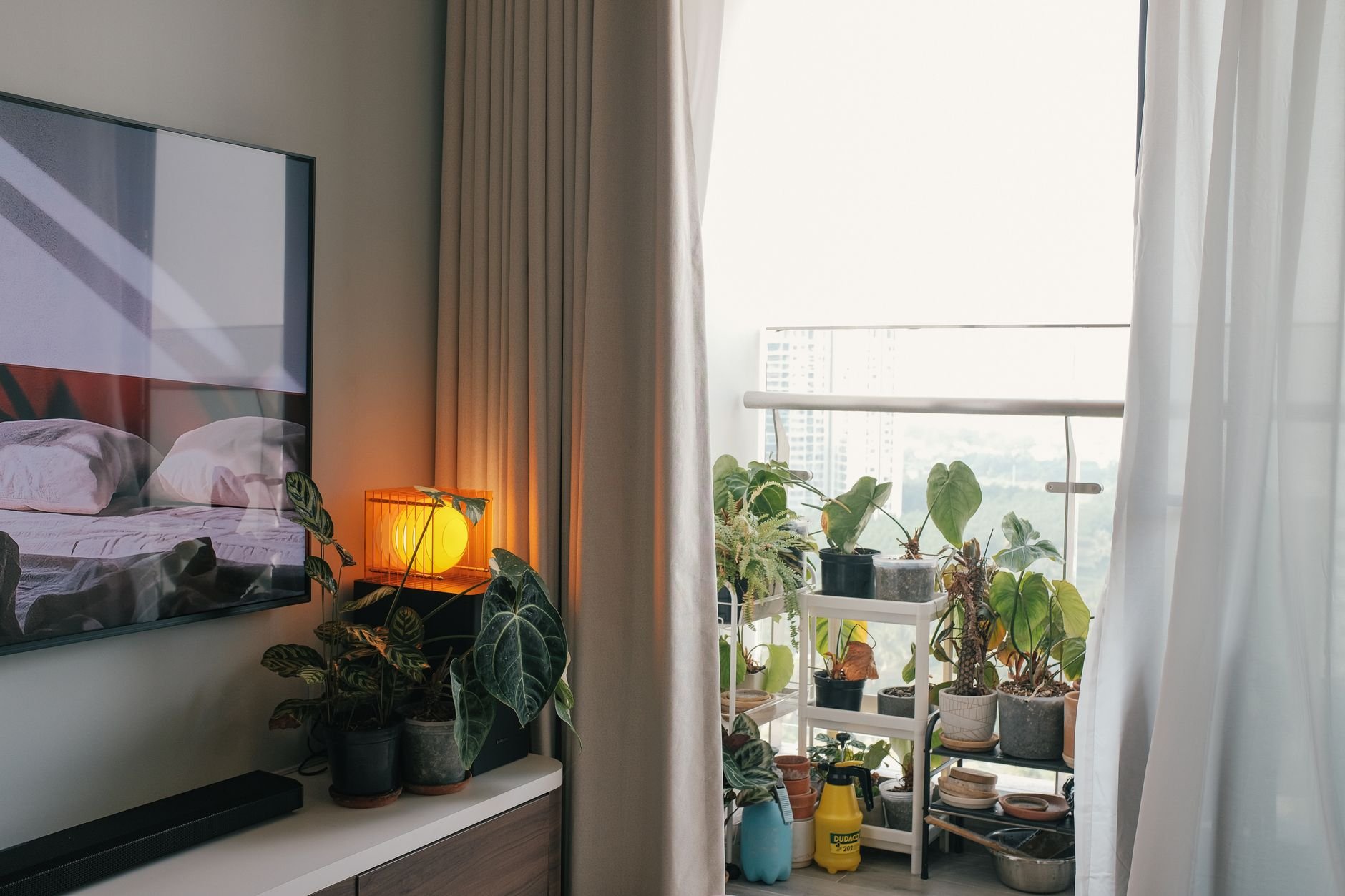 Warm indoor space featuring cozy decor and lush balcony plants in soft lighting.